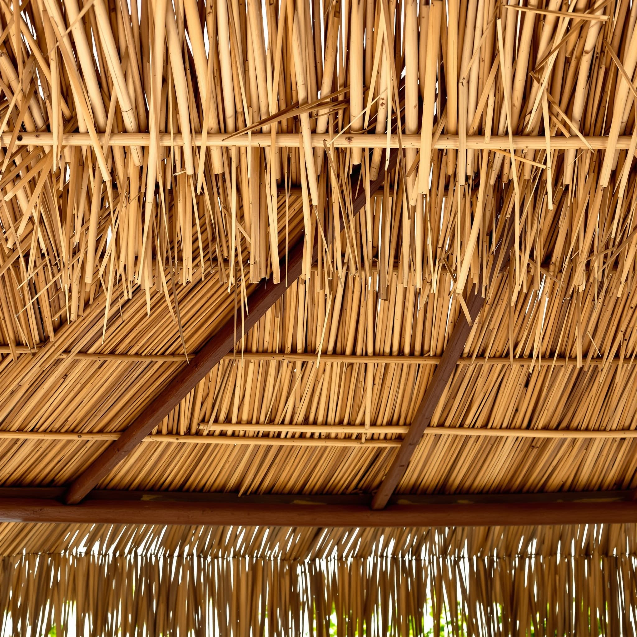 Bambu Çatı